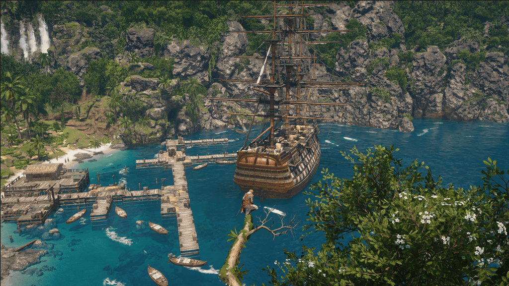Black Flag Great Inagua